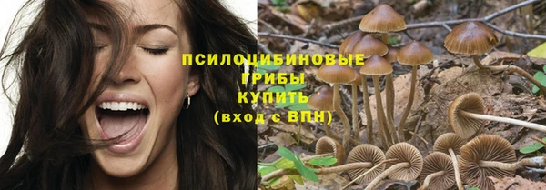 метадон Абаза