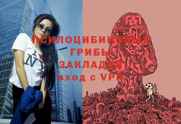 хмурый Абинск